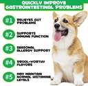 120pc-alivo-probiotic-chews-for-dogs-digestive-treats-with-pre-probiotics-duck-flavor-supports-gut-health-immune-system-seasonal-allergies-itchy-skin-05-120pc-alivo-probiotic-chews-for-dogs---digestive-t-5.jpg