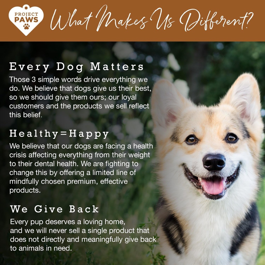 organic-bone-broth-with-elk-antler-powder-for-dogs-nutrient-rich-superfood-topper-natural-multivitamin-supplement-for-dogs-4-oz-06-organic-bone-broth-with-elk-antler-powder-for-dogs-6.jpg