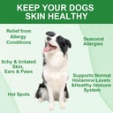 dog-allergy-relief-chews-with-probiotics-and-immunity-support-soothes-itchy-dogs-supports-skin-and-coat-health-60-tasty-bites-02-dog-allergy-relief-chews-with-probiotics-and-immun-2.jpg