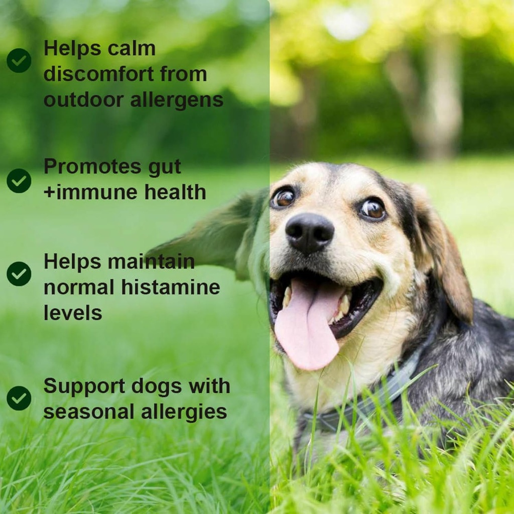 dog-allergy-relief-chews-with-probiotics-and-immunity-support-soothes-itchy-dogs-supports-skin-and-coat-health-60-tasty-bites-04-dog-allergy-relief-chews-with-probiotics-and-immun-4.jpg