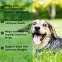 dog-allergy-relief-chews-with-probiotics-and-immunity-support-soothes-itchy-dogs-supports-skin-and-coat-health-60-tasty-bites-04-dog-allergy-relief-chews-with-probiotics-and-immun-4.jpg