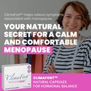menopause-support-capsules-for-women-dietary-supplement-for-hormone-balance-02-menopause-support-capsules-for-women---dietary-sup-2.jpg