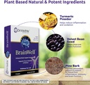 dr-wellme-nootropic-brain-booster-supplement-with-turmeric-ginkgo-biloba-memory-focus-cognitive-health-support-vegan-capsules-30-count-02-drwellme-nootropic-brain-booster-supplement-with-t-2.jpg