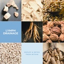 advanced-holistic-lymph-drainage-supplement-for-detox-puffiness-and-bloating-06-advanced-holistic-lymph-drainage-supplement-for-de-6.jpg