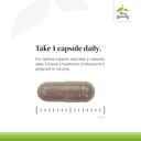 terry-naturally-menopause-relief-plus-capsules-clinical-strength-formula-with-rhodiola-black-cohosh-non-gmo-vegan-gluten-free-30-servings-04-terry-naturally-menopause-relief-plus-capsules---c-4.jpg