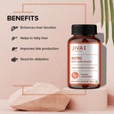 jiva-ayurveda-kutki-capsules-60-natural-herbal-supplement-capsules-04-jiva-ayurveda-kutki-capsules---60-natural-herbal-s-4.jpg