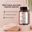 jiva-ayurveda-kutki-capsules-60-natural-herbal-supplement-capsules-05-jiva-ayurveda-kutki-capsules---60-natural-herbal-s-5.jpg