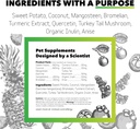 natural-dog-allergy-relief-supplement-with-turmeric-mangosteen-bioresiliant-treat-powder-for-seasonal-allergies-histamine-balance-support-04-natural-dog-allergy-relief-supplement-with-turmeri-4.jpg