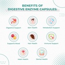 120-vegetarian-capsules-of-makzyme-pro-blend-probiotics-for-digestive-health-free-of-allergens-relieves-bloating-gas-05-120-vegetarian-capsules-of-makzyme-pro-blend-probi-5.jpg