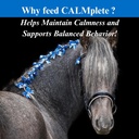 4lb-2-pack-su-per-calmplete-horse-supplement-with-thiamine-tryptophan-magnesium-for-calmness-balanced-behavior-05-4lb-2-pack-su-per-calmplete-horse-supplement-with--5.jpg