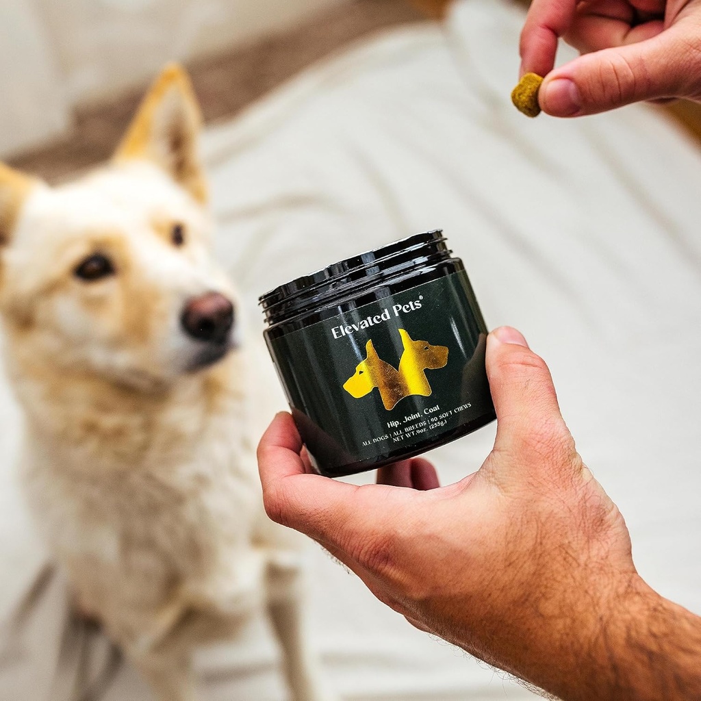elevated-pets-ultimate-dog-vitamin-supplement-with-omega-3-fish-oil-msm-glucosamine-chondroitin-epa-dha-turmeric-and-allergy-chews-05-elevated-pets-ultimate-dog-vitamin-supplement-with-5.jpg
