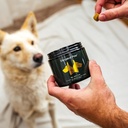 elevated-pets-ultimate-dog-vitamin-supplement-with-omega-3-fish-oil-msm-glucosamine-chondroitin-epa-dha-turmeric-and-allergy-chews-05-elevated-pets-ultimate-dog-vitamin-supplement-with-5.jpg