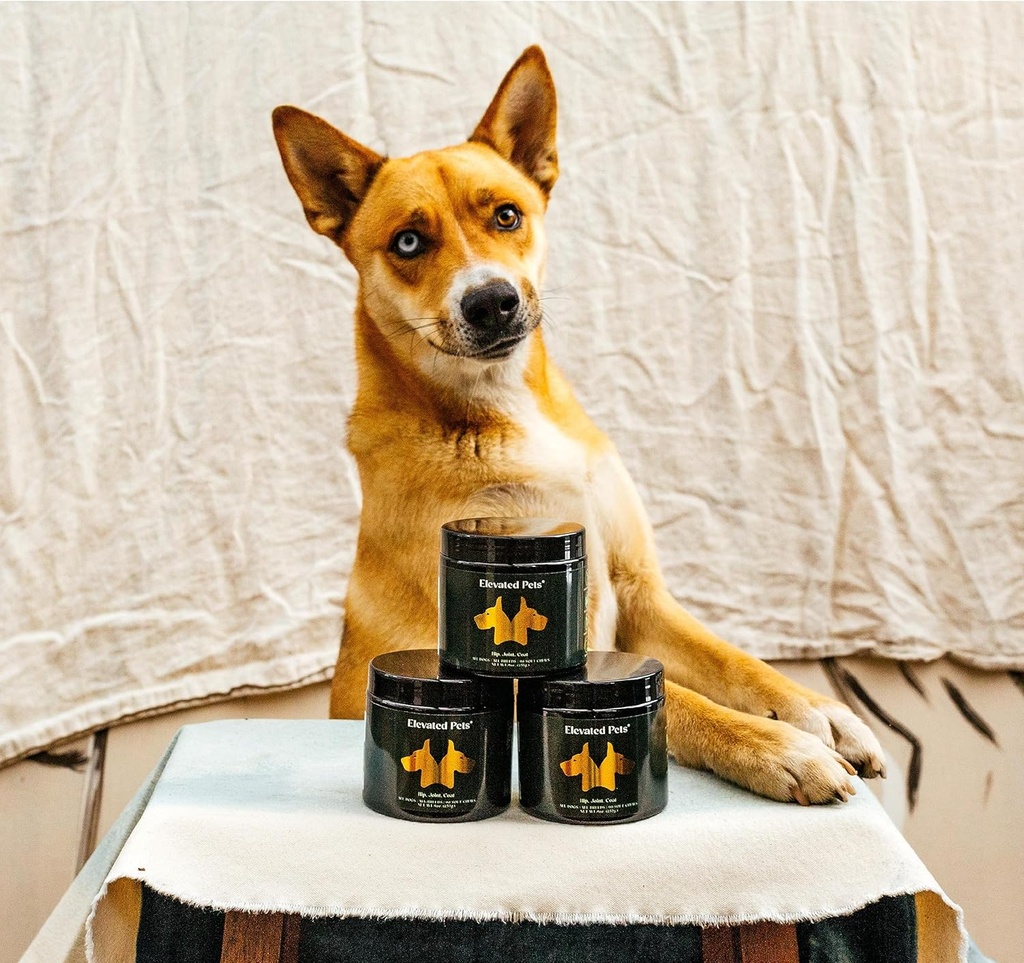 elevated-pets-ultimate-dog-vitamin-supplement-with-omega-3-fish-oil-msm-glucosamine-chondroitin-epa-dha-turmeric-and-allergy-chews-07-elevated-pets-ultimate-dog-vitamin-supplement-with-7.jpg