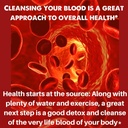 organic-blood-cleanser-supplement-capsules-speedyvite®-120-vegetarian-capsules-05-organic-blood-cleanser-supplement-capsules---speed-5.jpg