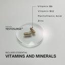 testosurge-strength-stamina-enhancer-vegan-gluten-free-with-fenugreek-seed-extract-vitamin-b6-b12-zinc-rhodiola-60-servings-03-testosurge-strength-stamina-enhancer---vegan-glute-3.jpg
