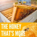 all-natural-honey-supplement-for-healthy-immune-response-lifemel-zuf-globus-virmel-botanicals-03-all-natural-honey-supplement-for-healthy-immune-re-3.jpg