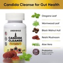 natural-candida-cleanse-with-herbs-probiotics-and-antifungal-ingredients-03-natural-candida-cleanse-with-herbs-probiotics-and--3.jpg