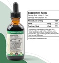thyrobin-liquid-supplement-advanced-thyroid-support-with-iodine-nettle-kelp-astragalus-ashwagandha-better-absorption-formula-05-thyrobin-liquid-supplement---advanced-thyroid-supp-5.jpg