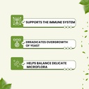 new-roots-herbal-candida-cleanse-supplement-stop-overgrowth-support-intestinal-flora-90-capsules-oregano-echinacea-botanical-complex-03-new-roots-herbal-candida-cleanse-supplement---stop-3.jpg