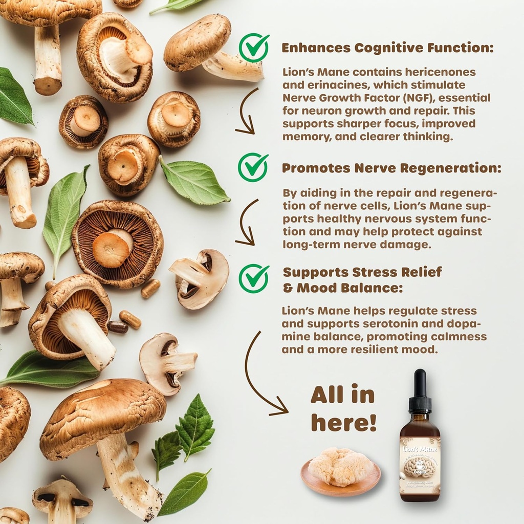 organic-lion-s-mane-tincture-for-enhanced-brain-function-and-focus-2-oz-liquid-mushroom-extract-02-organic-lions-mane-tincture-for-enhanced-brain-fun-2.jpg