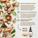 organic-lion-s-mane-tincture-for-enhanced-brain-function-and-focus-2-oz-liquid-mushroom-extract-02-organic-lions-mane-tincture-for-enhanced-brain-fun-2.jpg