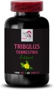 plant-based-stamina-power-with-tribulus-terrestris-extracts-energy-support-formula-for-active-life-60-tablets-02-plant-based-stamina-power-with-tribulus-terrestris-2.jpg