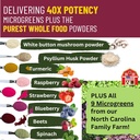 invisible-nutrition-powder-for-extreme-picky-eaters-organic-superfood-boost-for-arfid-asd-40x-nutrient-rich-with-sulforaphane-72-servings-06-invisible-nutrition-powder-for-extreme-picky-eater-6.jpg