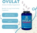 fertility-bundle-tea-supplements-prenatal-vitamins-for-women-hormone-balance-support-05-fertility-bundle-tea-supplements-prenatal-vitamins-5.jpg