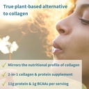 igennus-vegan-vanilla-collagen-peptide-powder-with-vitamin-c-non-gmo-plant-based-booster-140-servings-03-igennus-vegan-vanilla-collagen-peptide-powder-with-3.jpg