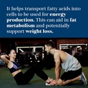 high-potency-meibotan-l-carnitine-l-tartrate-supplement-for-fat-utilization-lean-muscle-gain-and-metabolism-support-60-vegan-capsules-05-high-potency-meibotan-l-carnitine-l-tartrate-suppl-5.jpg