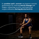 high-potency-meibotan-l-carnitine-l-tartrate-supplement-for-fat-utilization-lean-muscle-gain-and-metabolism-support-60-vegan-capsules-06-high-potency-meibotan-l-carnitine-l-tartrate-suppl-6.jpg