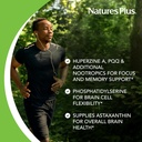 natures-plus-brainceutix-ginkgo-plus-memory-and-focus-supplement-90-capsules-03-natures-plus-brainceutix-ginkgo-plus-memory-and-fo-3.jpg