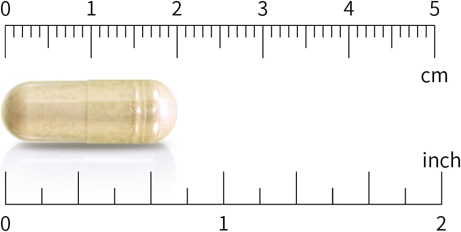 concentrated-noni-capsules-cbi-natural-20-1-extract-500mg-120-count-03-concentrated-noni-capsules---cbi-natural-201-extra-3.jpg