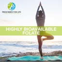 pure-methyl-folate-powder-for-brain-health-bioavailable-folic-acid-vitamin-b9-supplement-2-kg-4-4-lb-03-pure-methyl-folate-powder-for-brain-health-bioavai-3.jpg