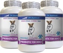 Dog Probiotics Chewable Treats - Supports Healthy Gut, Stops Gas, Diarrhea, & Bad Breath - Digestive Boost Supplement for Dogs - 3 Bottles (180 Treats)