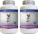 Dog Probiotics for Digestive Health - Supports Healthy Gut, Reduces Gas, Diarrhea, and Bad Breath - 2 Bottles (120 Treats)