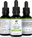 Organic Oregon Grape Root Herbal Tincture - Alcohol-Free Extract for Immune Support - 1oz by Ziggy Baby Health