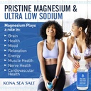 Hawaii Deep Ocean Magnesium Drops with Trace Minerals - 2 Fl. Oz. Liquid Supplement for Brain, Mood, Muscle, Nerve, & Cardiovascular Health