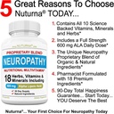 3 Pack Neuropathy Support Supplement with Alpha Lipoic Acid & Benfotiamine - Natural Renew Vitamins for Peripheral Neuropathy - 360 Capsules, 90 Day Supply