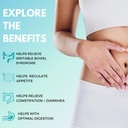 Plant-Based Daily Probiotic + Prebiotic with 18B CFU, 6 Strains - 42 Effervescent Tabs for Gut Health & Metabolism