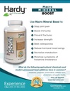 High Intensity Calcium Supplement with Vitamin C, D, K, Phosphorus, and Magnesium for Bone & Teeth Health - Hardy Nutritionals Macro Mineral Boost - Ultra Absorbable Formula