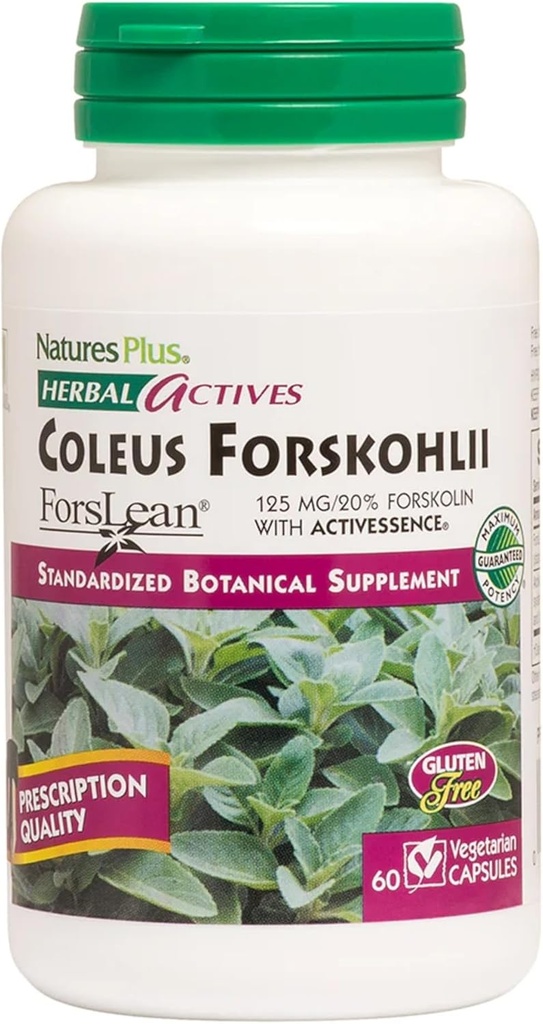Natures Plus Coleus Forskohlii Herbal Actives Capsules - 60 Vegetarian Capsules - Gluten Free - 60 Servings