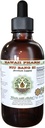 NIU Bang Zi Burdock Seed Glycerite Liquid Extract - Alcohol-Free Herbal Supplement - 2 fl.oz - Made in USA by Hawaii Pharm