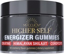 Triple-Action ATP Booster Gummies with Shilajit, Cordyceps, and Creatine for Enhanced Energy and Performance - 60 Sugar-Free Cranberry Flavor Gummies