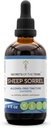 Alcohol-Free Sheep Sorrel Tincture Extract - 4 oz Herbal Supplement by Secrets of the Tribe