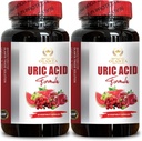 Uric Acid Cleanse Formula - Supports Healthy Uric Acid Levels with Tart Cherry, Cranberry, and Milk Thistle - 2B Supplement