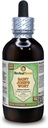 Organic Saint John's Wort Glycerite Liquid Extract by HerbalTerra - Alcohol-Free, Made in USA - 4 fl. oz
