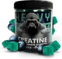 Blueberry Flavored Creatine Monohydrate Gummies - 5g Chewable Cubes (120 Pack)