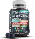 Clean Nutra Terramineral Shilajit Gummies with Sea Moss, Tongkat Ali, Ashwagandha, Lion's Mane, MACA, Ginseng, Rhodiola, & Cordyceps