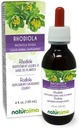 Organic Rhodiola Rosea Root Extract Tincture - Alcohol-Free Liquid Supplement - 4 fl oz - Vegan-Friendly